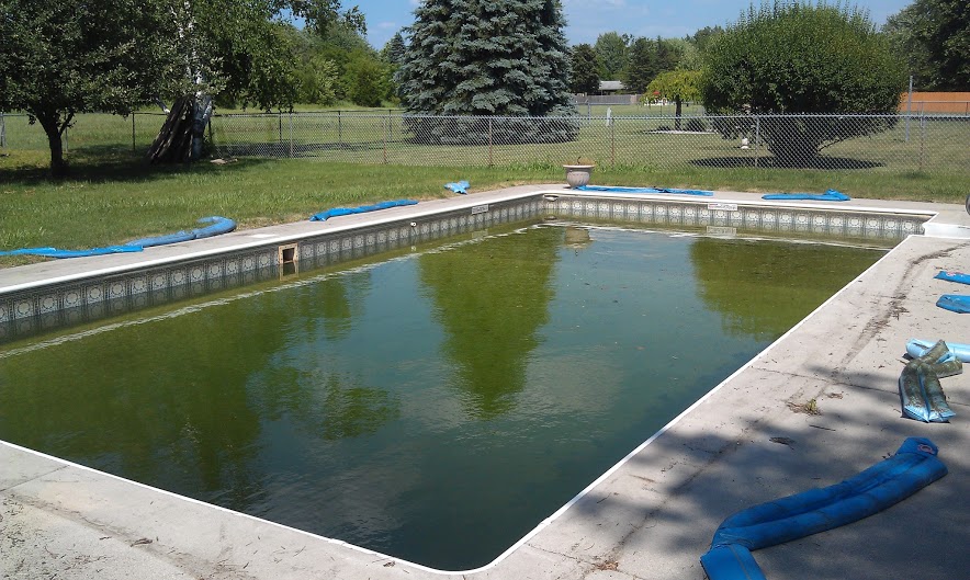 Brown linerGreen Spartan Pools Inc
