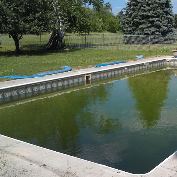 BrownlinerGreen2 Spartan Pools Inc